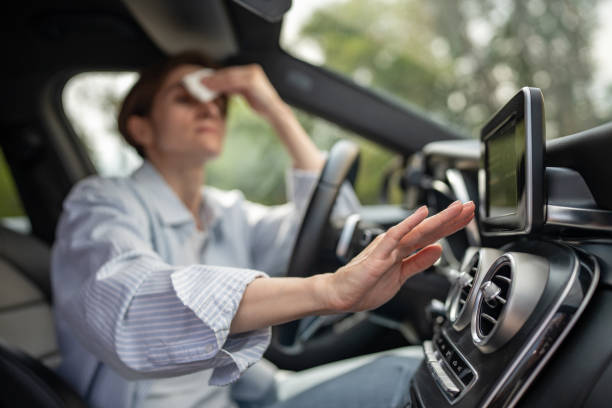 Best Thermostats and Smart Controls in Lutz, FL